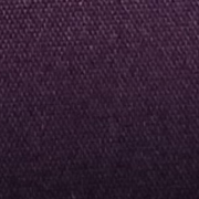 Purple - EV04